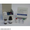 48T/96T 人血栓素B2(TXB2)ELISA试剂盒说明书