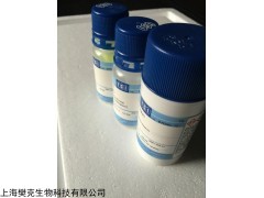 48T/96T 人脱氢表雄酮硫酸酯(DHEA-S)ELISA试剂盒