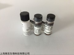 48T/96T 人C肽(C-Peptide)ELISA试剂盒技术原理