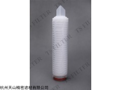 IPS 终端过滤聚醚砜滤芯