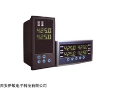 XSD 西安新敏XSD多通道數(shù)字式儀表