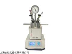 yzpr-100 100ml微型反应釜