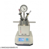 yzpr-100 100ml微型反应釜