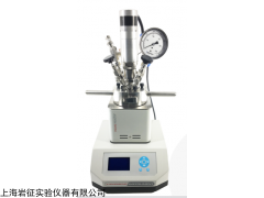 yzpr-100M 微型反应釜机械搅拌100