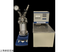 YZ-Sapphire100 蓝宝石可视反应釜-100