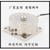 轮辐式称重传感器