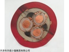 MYP矿用电缆MYPT矿用橡套电缆