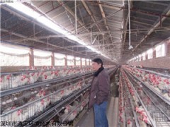做畜牧養(yǎng)殖場(chǎng)噴霧降溫除臭深圳