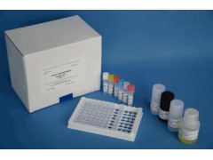 48T/96T 小鼠前列腺素E1(PGE1)ELISA 试剂盒价格