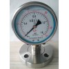 法兰式隔膜压力表