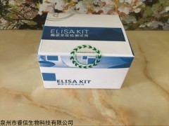 江西人C肽檢測試劑盒價格泉州睿信生物