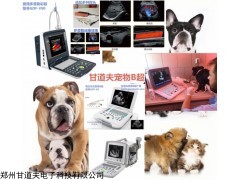 招標小動物B超今日報價價格多少錢