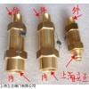 离心机安全阀022W10079-000