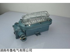 DGC18/127L（A） 礦用采掘工作面支架燈