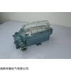 DGC18/127L（A） 礦用采掘工作面支架燈