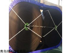 PVC整芯阻燃输送带