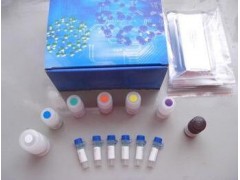 48t/96t 小鼠胰岛素样生长因子结合蛋白2 ELISA Kit