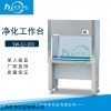 SW-CJ-1FD 无尘工作台