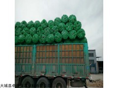 白城b1级难燃橡塑管壳