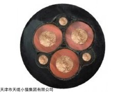 阻燃变频电缆ZR-BPYJVP变频器电缆