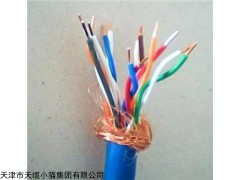 BPYCRP橡套变频器电缆