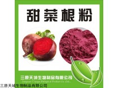 大量供应优质红甜菜根粉 颜色好 甜度高