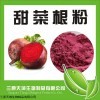 大量供应优质红甜菜根粉 颜色好 甜度高