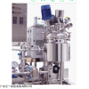 成套反应系统(中试型)