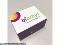 orb11468 TGF beta 1 antibody抗体