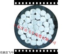 JKLGYJ-1KV-120/20 青海西寧市電線電纜JKLGYJ-120/20國(guó)標(biāo)廠家