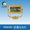 HSG5600 防爆泛光燈源頭廠家