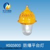 HSG5800 華士光防爆平臺(tái)燈