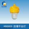 HSG5820 内场防爆灯生产商直销