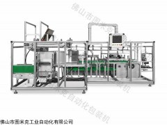 TMK 廣東自動(dòng)裝箱機(jī)