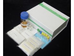 48T/96t 大鼠N端前脑钠素(NTproBNP)ELISA试剂盒