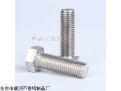 双相不锈钢2507外六角螺丝