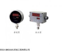 上潤(rùn)WIDEPLUS-CT壓力變送器控制器