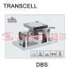 DBS稱重模塊 雙剪切梁式傳感器