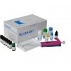 48T/96t 牛脂联素受体1(ADIPOR1)ELISA 试剂盒