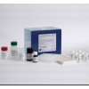 48T/96t 牛前列腺素F2α(PGF2α)ELISA试剂盒