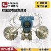 CYWQ-210 雙法蘭差壓液位變送器