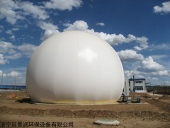山东畅销双模沼气储气柜