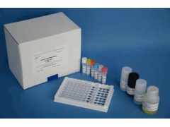 48T/96t 蜗牛同源物2(SNAI2)ELISA试剂盒