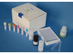 48T/96t 血管内皮细胞生长因子ELISA试剂盒用途