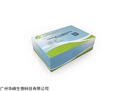 48T 大腸埃希氏菌O157抗原基因檢測試劑盒（凍干型）