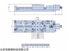 WN250TA(50-300)L 普通型電動(dòng)平移臺(tái)