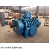 RTSR-150 石灰膏风机 北京石灰膏风机 罗茨二叶风机厂家