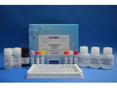 48T/96t 缪勒管抑制物质/(MIS/AMH) ELISA试剂盒