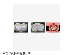 MHY-23975 端子压接剖面分析仪