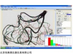 HAD-SLX 植物根系分析仪系统